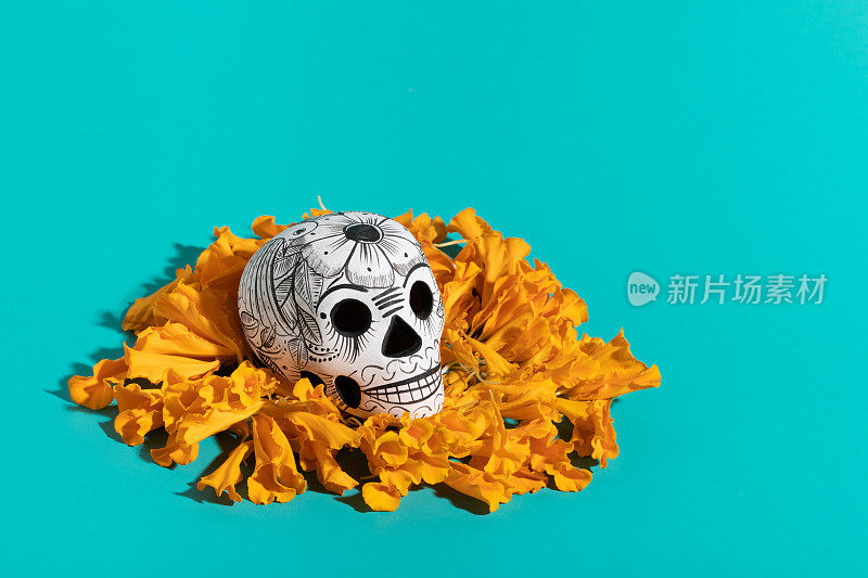 头骨，头骨和cempasúchil的Dia de Muertos的花瓣在蓝绿色的背景